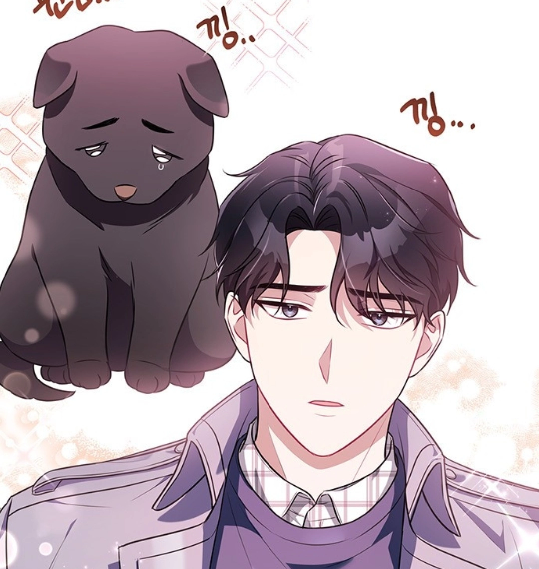 Chapter 11